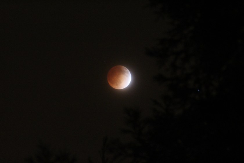 a shot of tonight's lunar eclipse